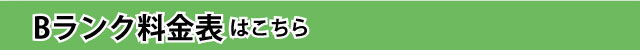 ランクB料金表